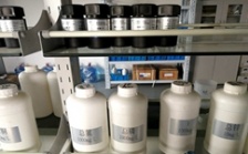  什么是氨氮總磷總氮？