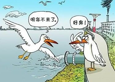  國家飲用水標準及水質(zhì)合格率是多少？