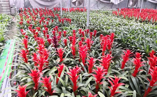 水源地治理出重拳，濟南南部山區回歸綠水青山